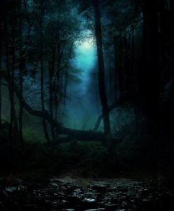 tubala-der-dunkle-wald